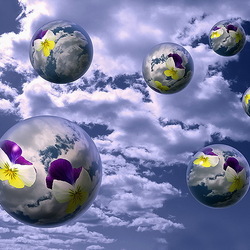 Пазл: Красота в капельке воды