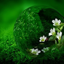 Пазл: Прозрачная капелька воды