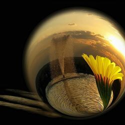 Пазл: Капля красоты