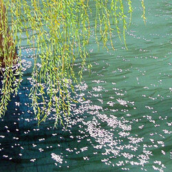 Пазл: Водяная гладь