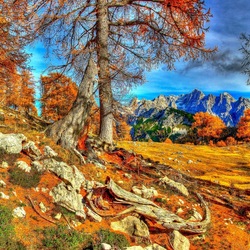 Пазл: Осень в Словении