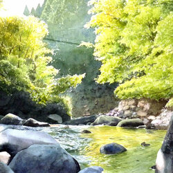 Пазл: Мост над горной рекой