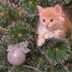 Пазл: Котеночек, елочка и шарик 