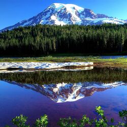 Пазл: Нерастаявший снег