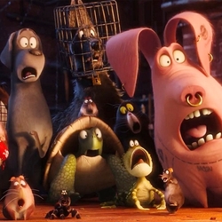 Пазл: Тайная жизнь домашних животных