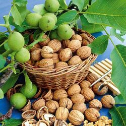 Пазл: Дары осени