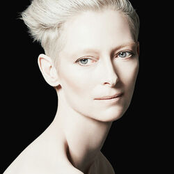 Пазл: Инопланетянка Тильда Суинтон