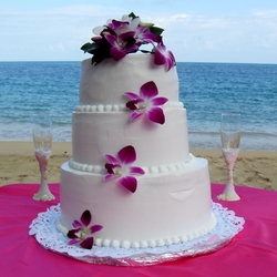 Пазл: Тропический