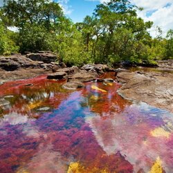 Пазл: Чудесные явления природы