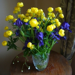 Пазл: Вальс цветов