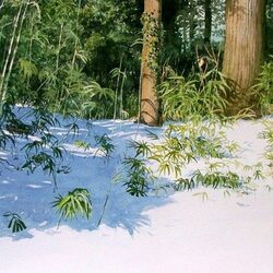 Пазл: Зеленое с белым