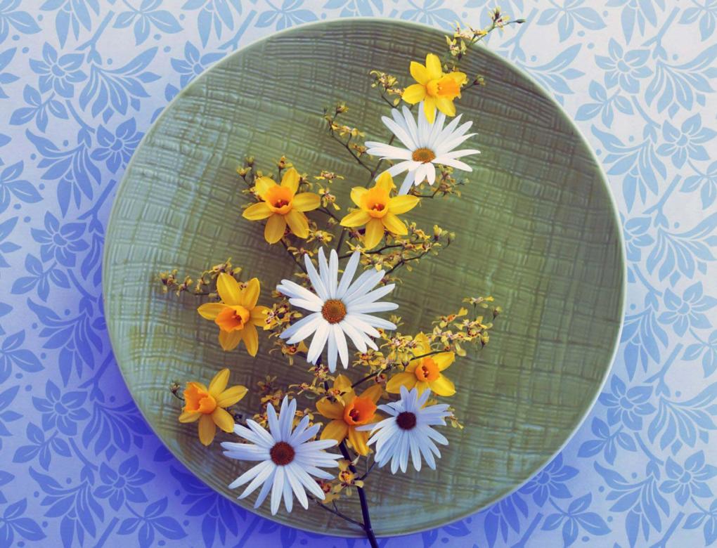 Композиции цветов в тарелке