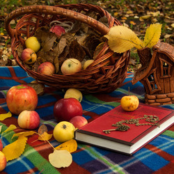 Пазл: Уж небо осенью дышало