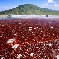 Пазл: Озеро Натрон