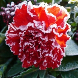 Пазл: Зимняя сказка