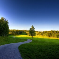 Пазл: Светлая дорога