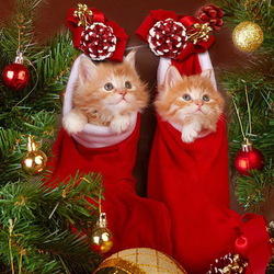 Пазл: Новогодние котики