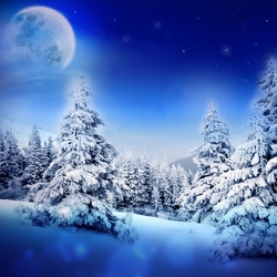 Пазл: Январская ночь