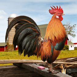 Пазл: Хозяин