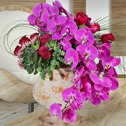 Пазл: Орхидеи