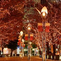 Пазл: Магия  Рождества