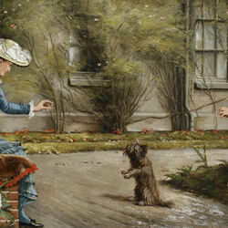 Пазл: Ко мне,песик!