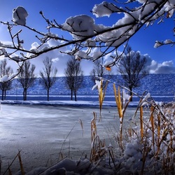 Пазл: Зимнее солнце