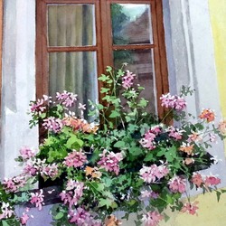 Пазл: Цветы на окне
