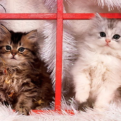 Пазл: Скоро Новый Год