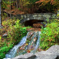Пазл: Каскад воды