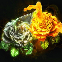 Пазл: Две розы