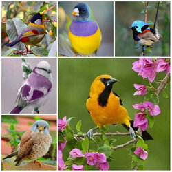 Пазл: Удивительно красивый мир