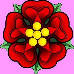 Пазл: Цветок