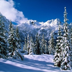 Пазл: Зима в Сибири