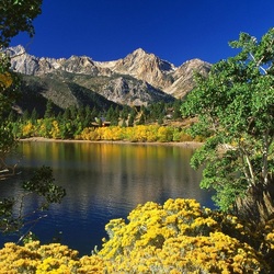 Пазл: Летний день в горах