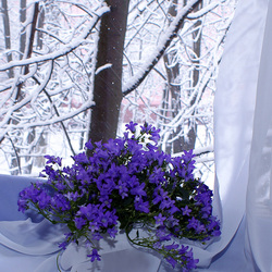 Пазл: Зимнее окно