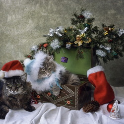 Пазл: Санта и Снегурочка