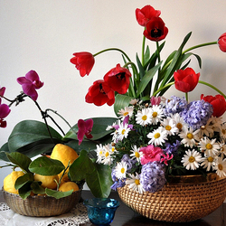 Пазл: Цветы