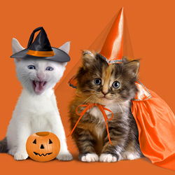 Пазл: С праздничком!