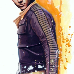 Пазл: Энакин Соло