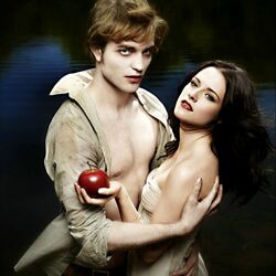 Пазл: Сумерки