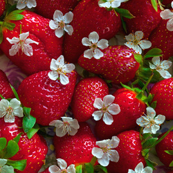 Пазл: Ягодки и цветочки