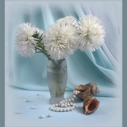 Пазл: Белые астры