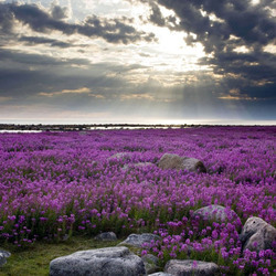 Пазл: Красота Канады