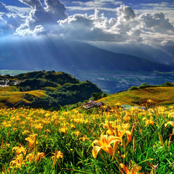 Пазл: С высоты