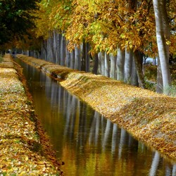 Пазл: Аллея