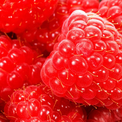 Пазл: Малина