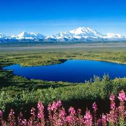 Пазл: Аляска