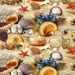 Пазл: Ракушки