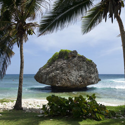 Пазл: Тропики